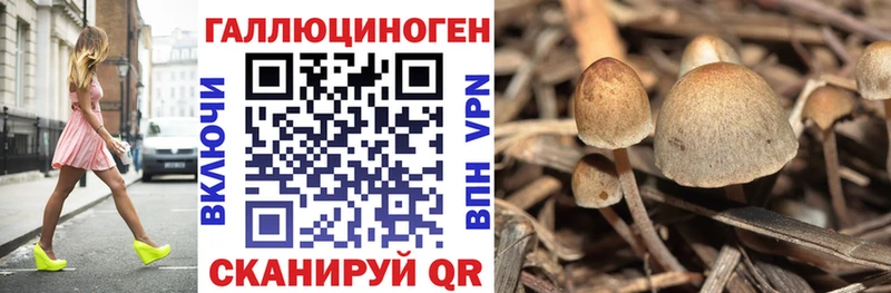 маркетплейс состав  Белоозёрский  Галлюциногенные грибы Cubensis  mega ONION 